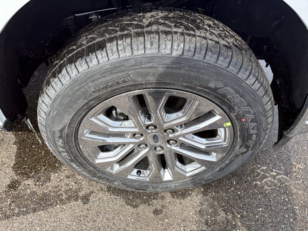 New 2026 Ford F150 XLT image 13