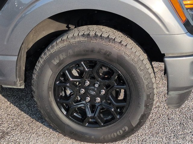 Used 2025 Ford F150 XLT w/ Equipment Group 301A Standard AWD/4WD image 10