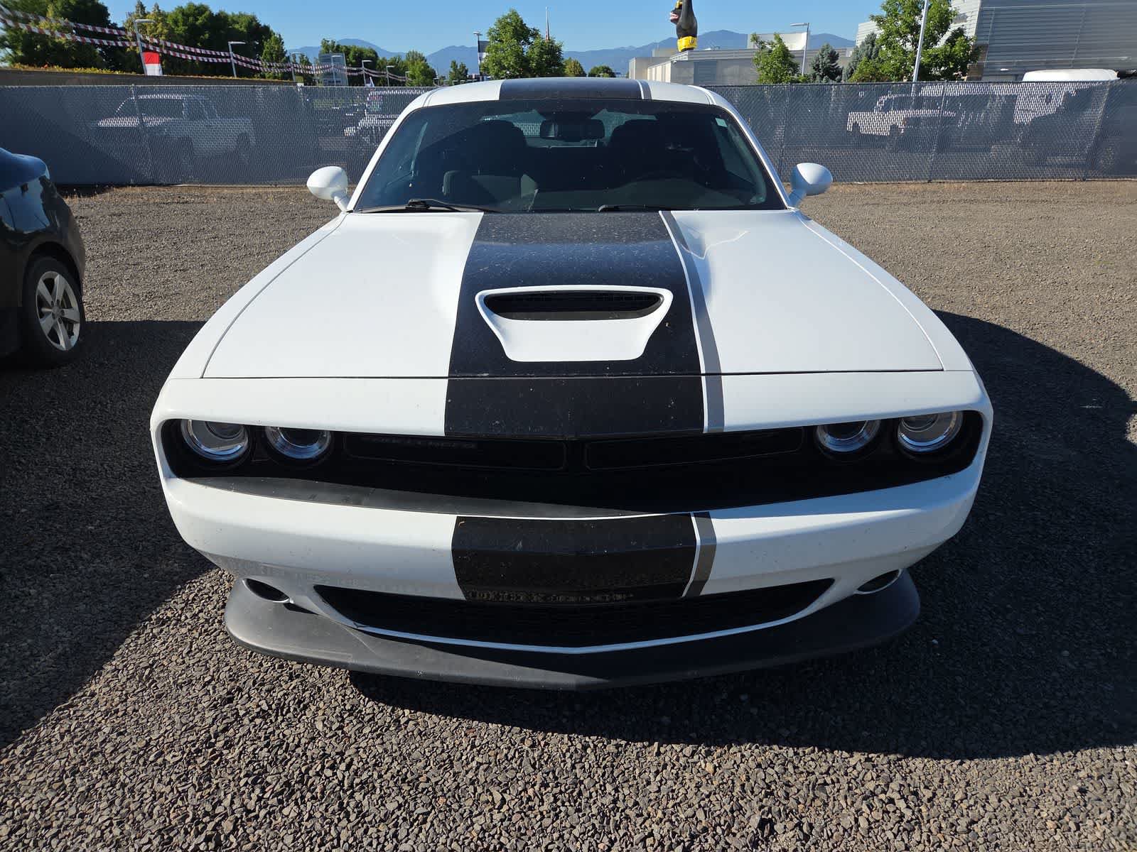 Certified 2019 Dodge Challenger GT w/ Stars & Stripes Edition RWD image 5