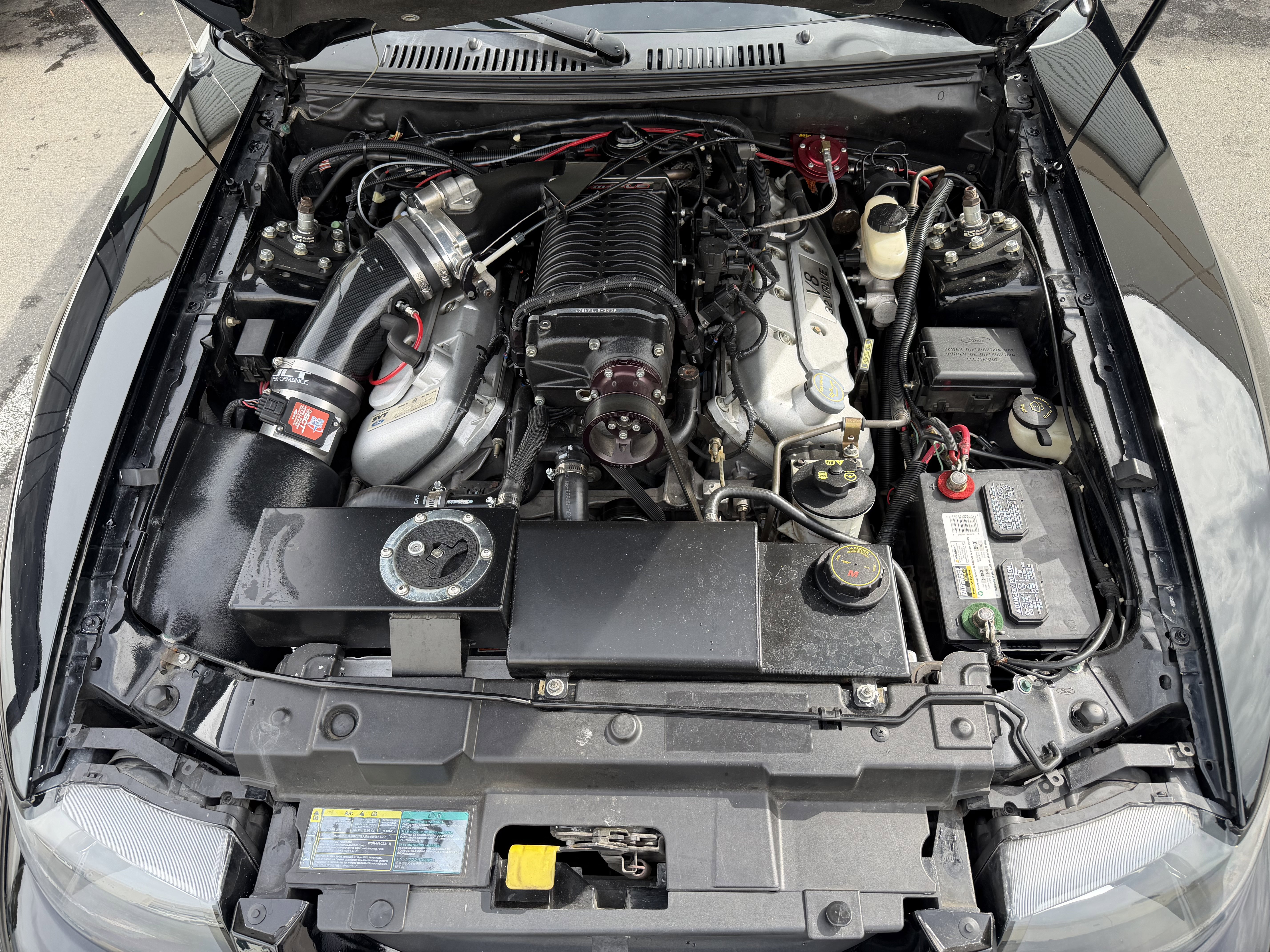 Used 2003 Ford Mustang Cobra RWD image 15