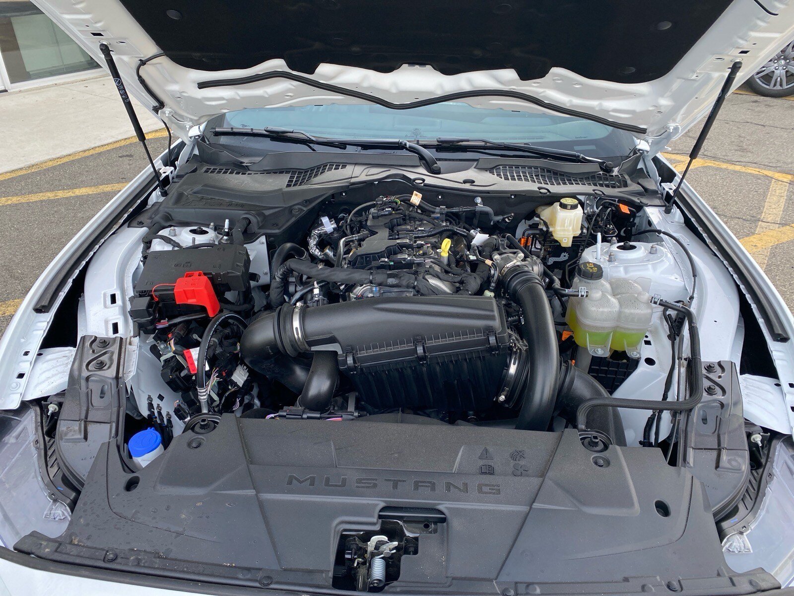 Used 2026 Ford Mustang Premium RWD image 29