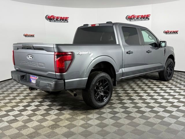 Used 2024 Ford F150 STX w/ STX Black Appearance Package image 3