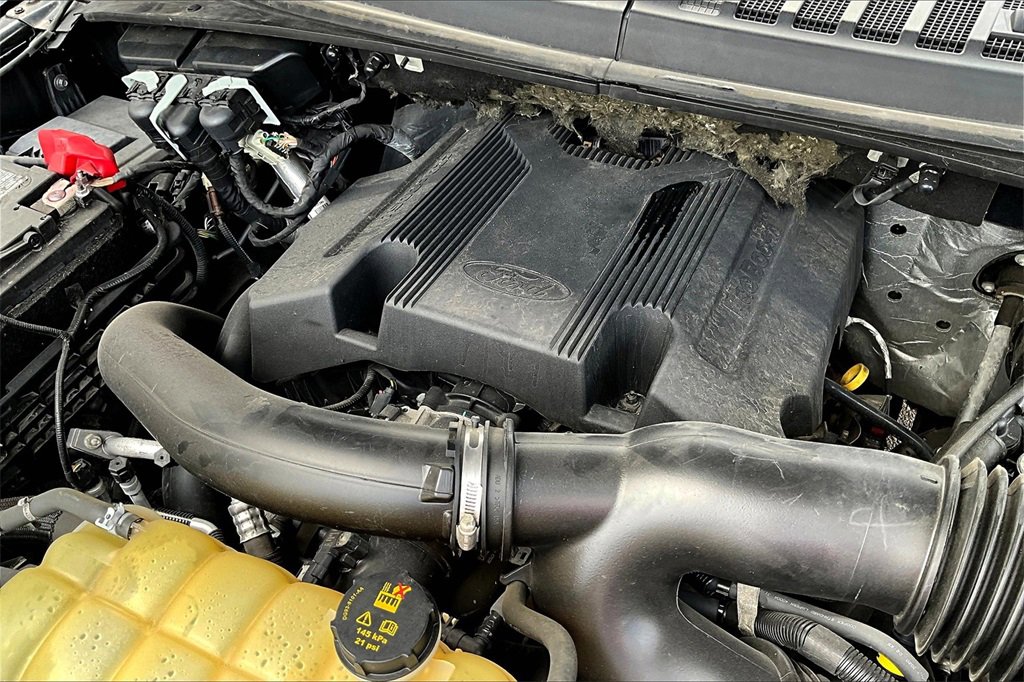 Used 2020 Ford F150 XLT w/ Equipment Group 302A Luxury image 30