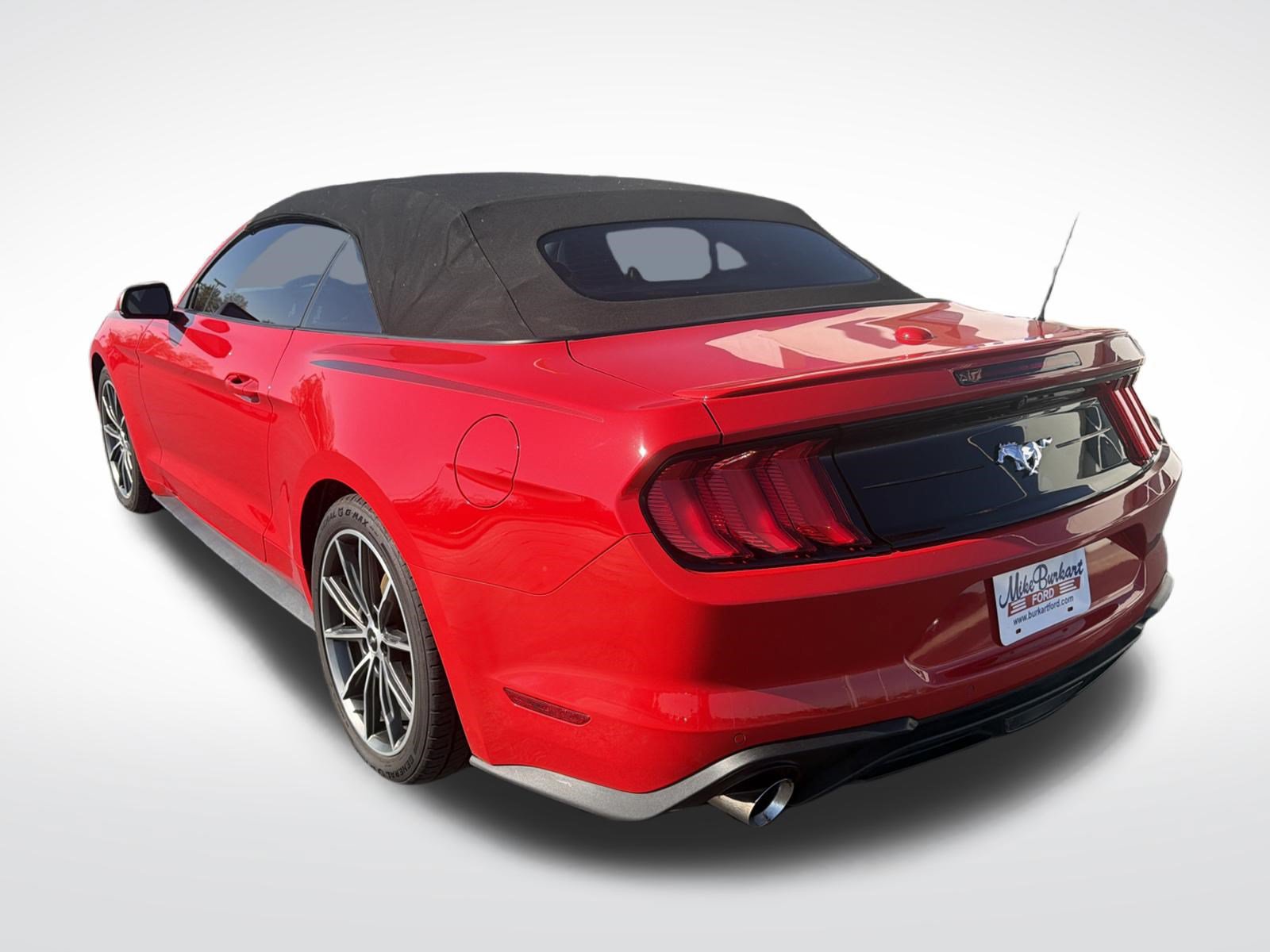 Used 2019 Ford Mustang Premium w/ Equipment Group 201A RWD image 14