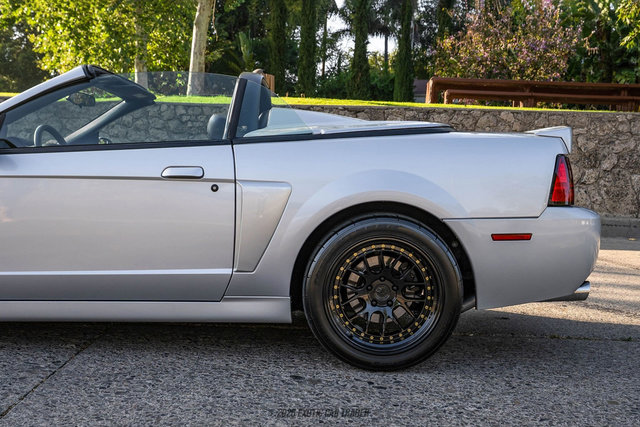 Used 2003 Ford Mustang Cobra RWD image 5