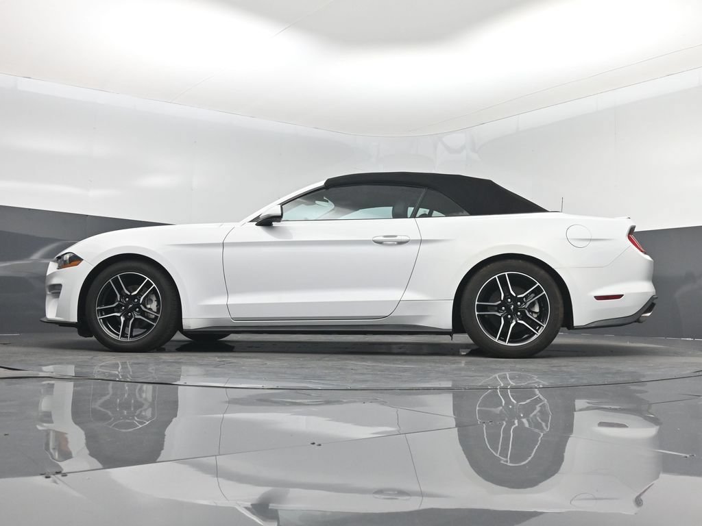 Used 2023 Ford Mustang Premium RWD image 15