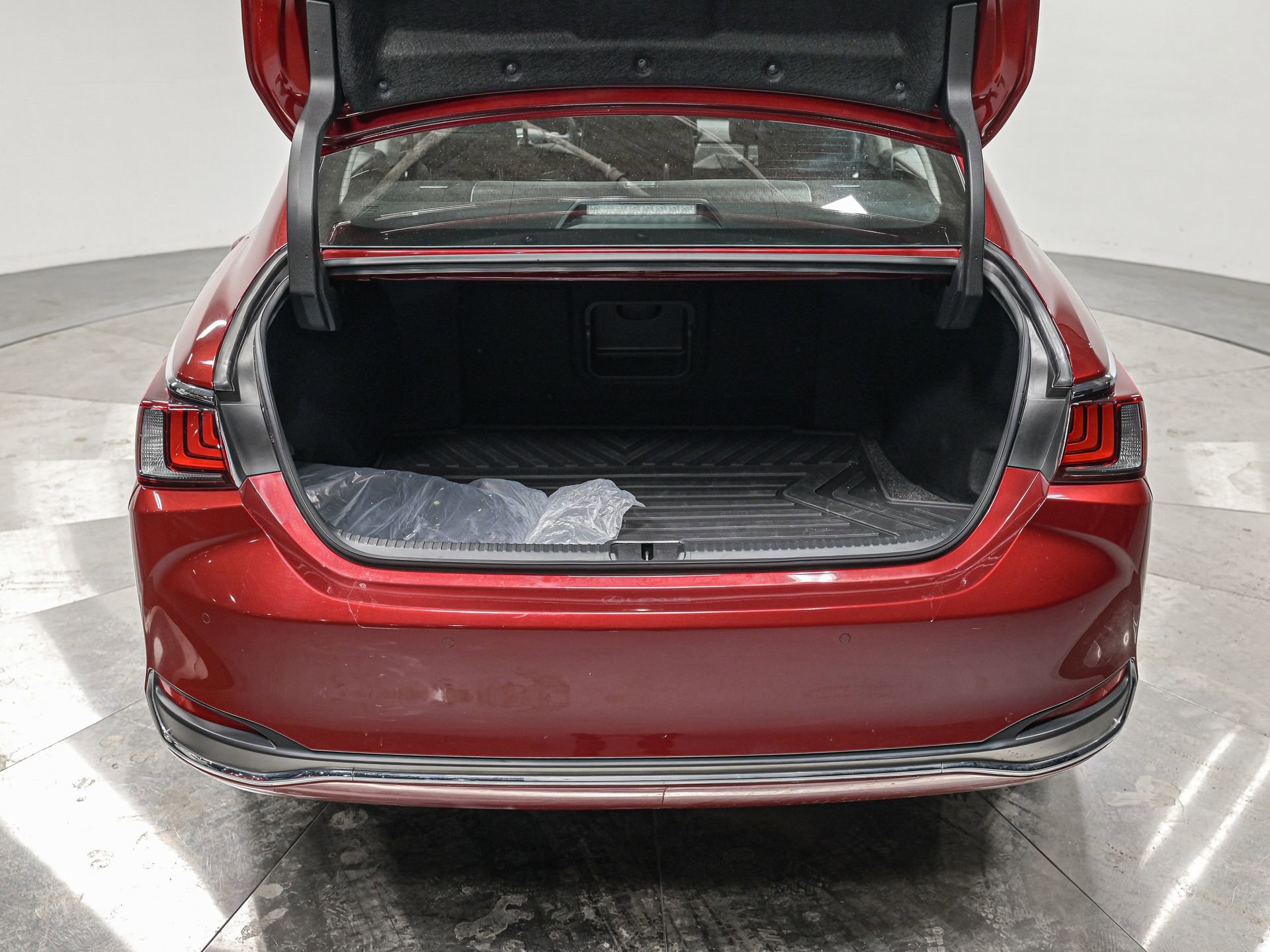 Used 2023 Lexus ES 250 w/ Premium Package image 5