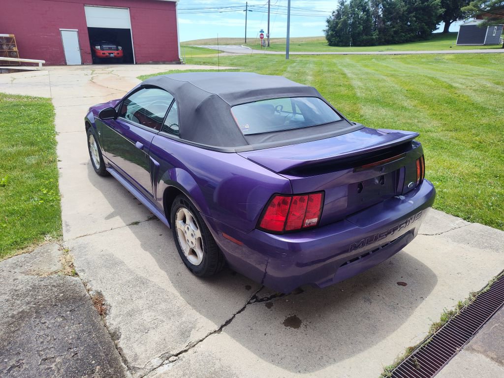 Used 2000 Ford Mustang Convertible RWD image 2