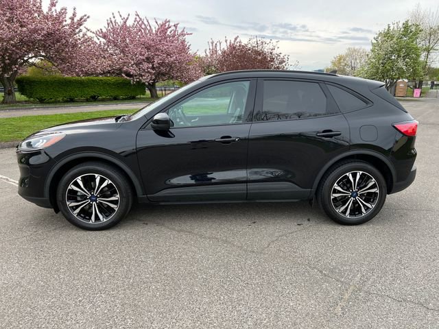 Used 2022 Ford Escape SEL w/ SEL Stealth AWD Package image 6