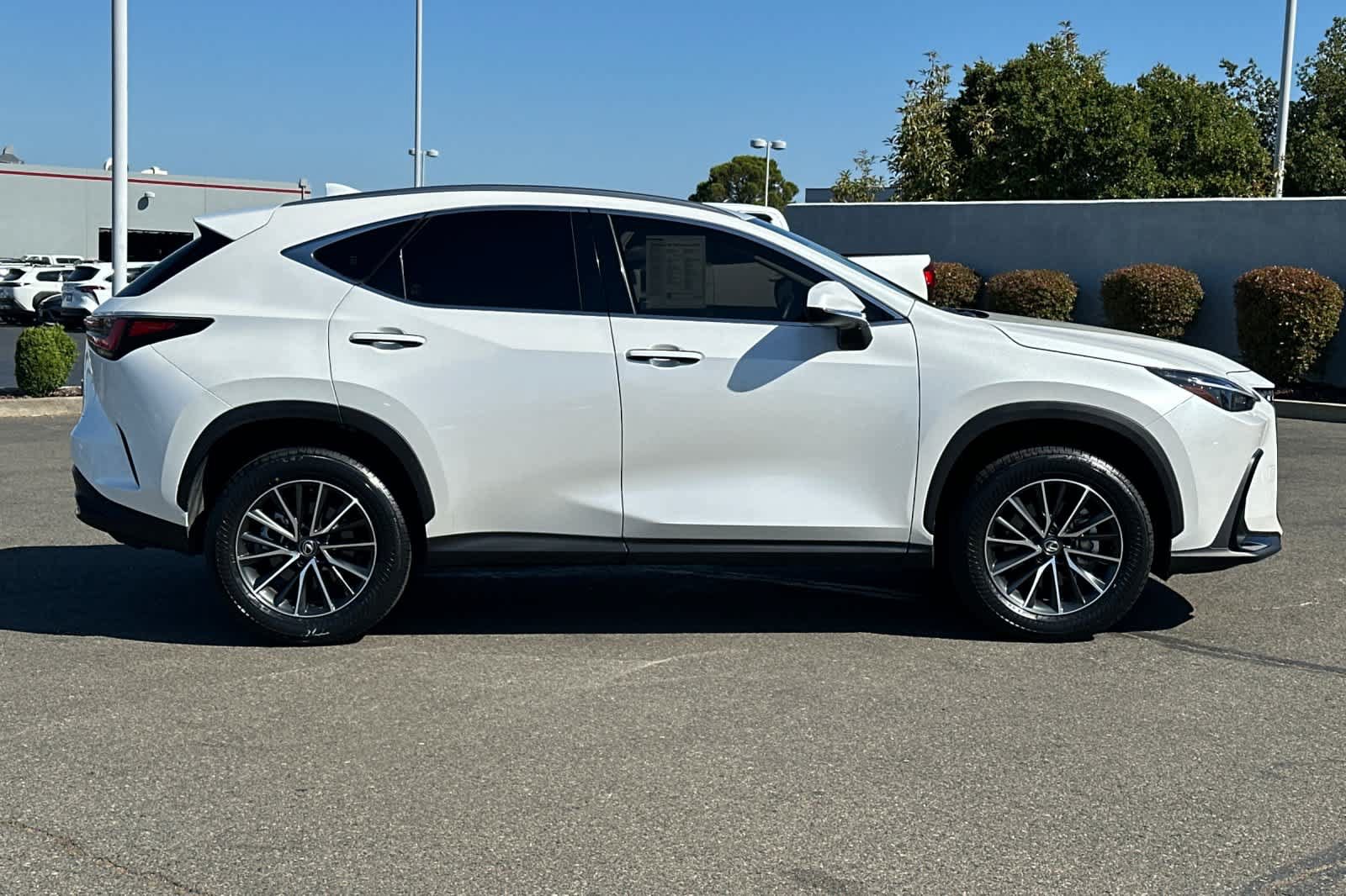 Used 2024 Lexus NX 250 AWD w/ Cold Area Package image 6