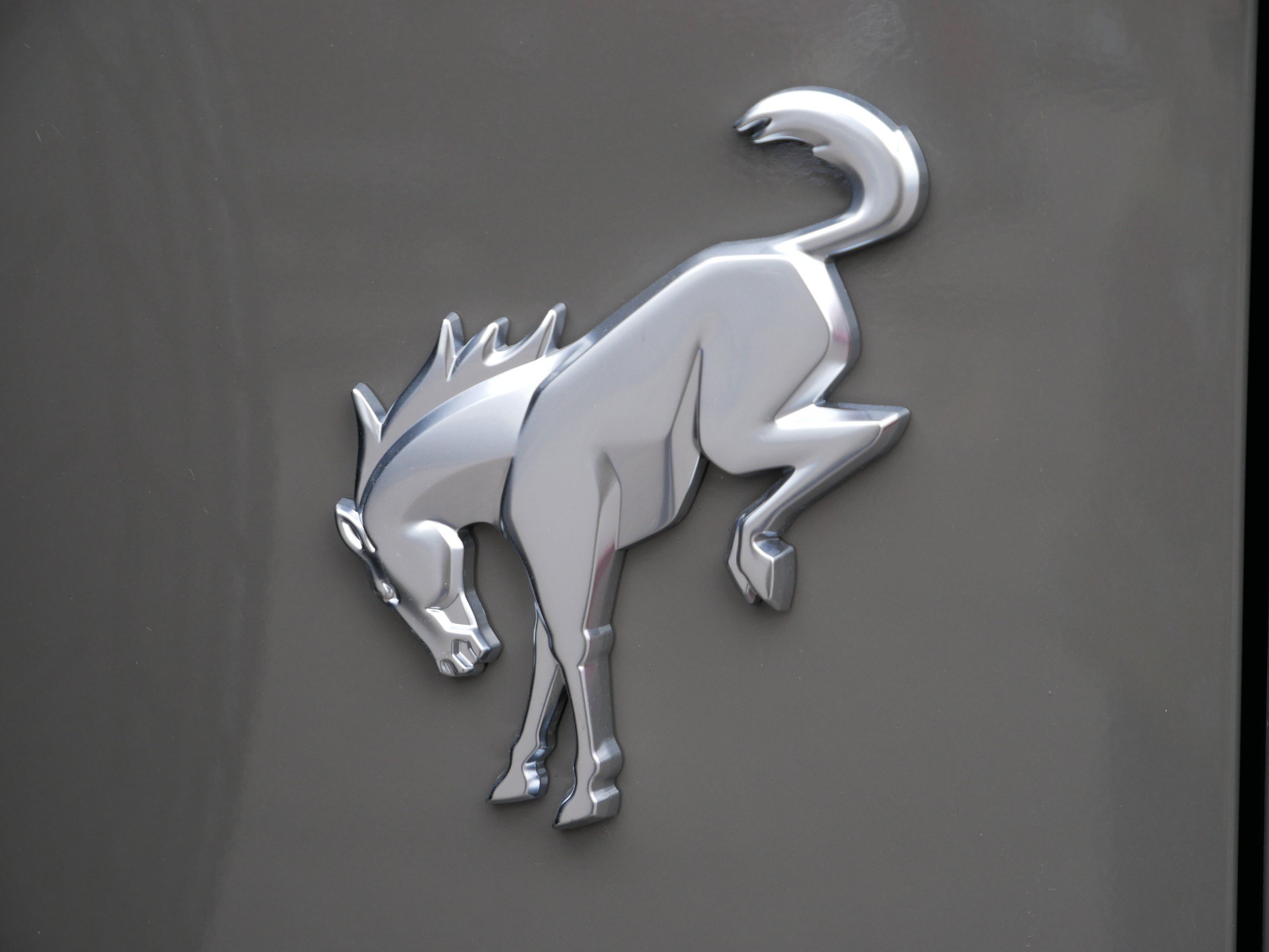 Used 2025 Ford Bronco Outer Banks AWD/4WD image 4