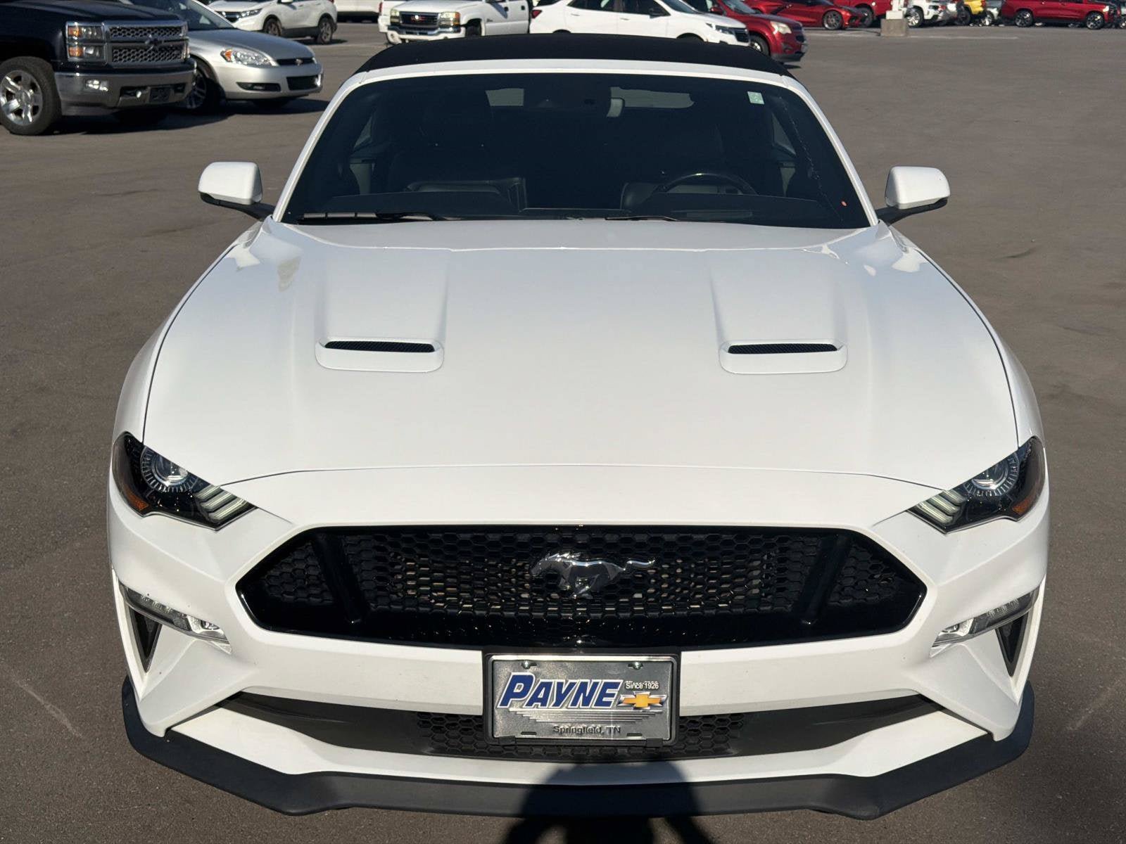 Used 2019 Ford Mustang GT RWD image 2