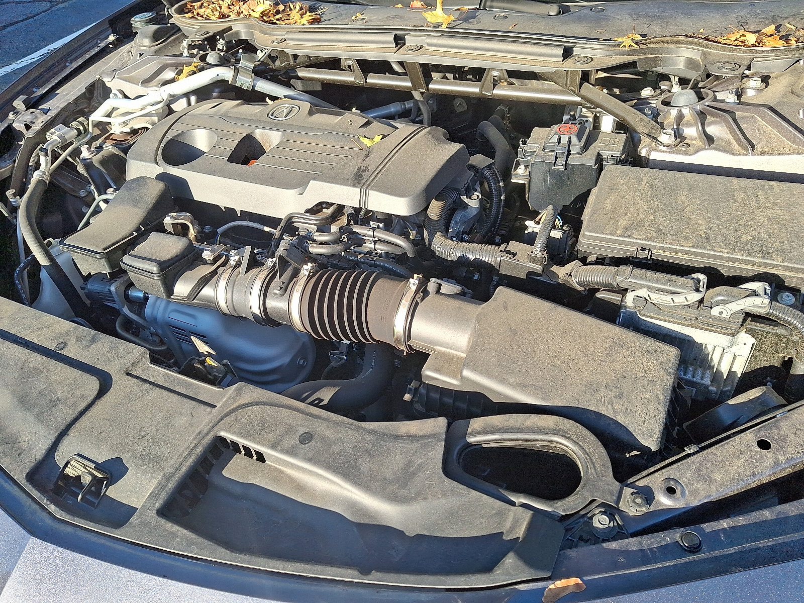 Used 2023 Acura TLX w/ Technology Package image 30