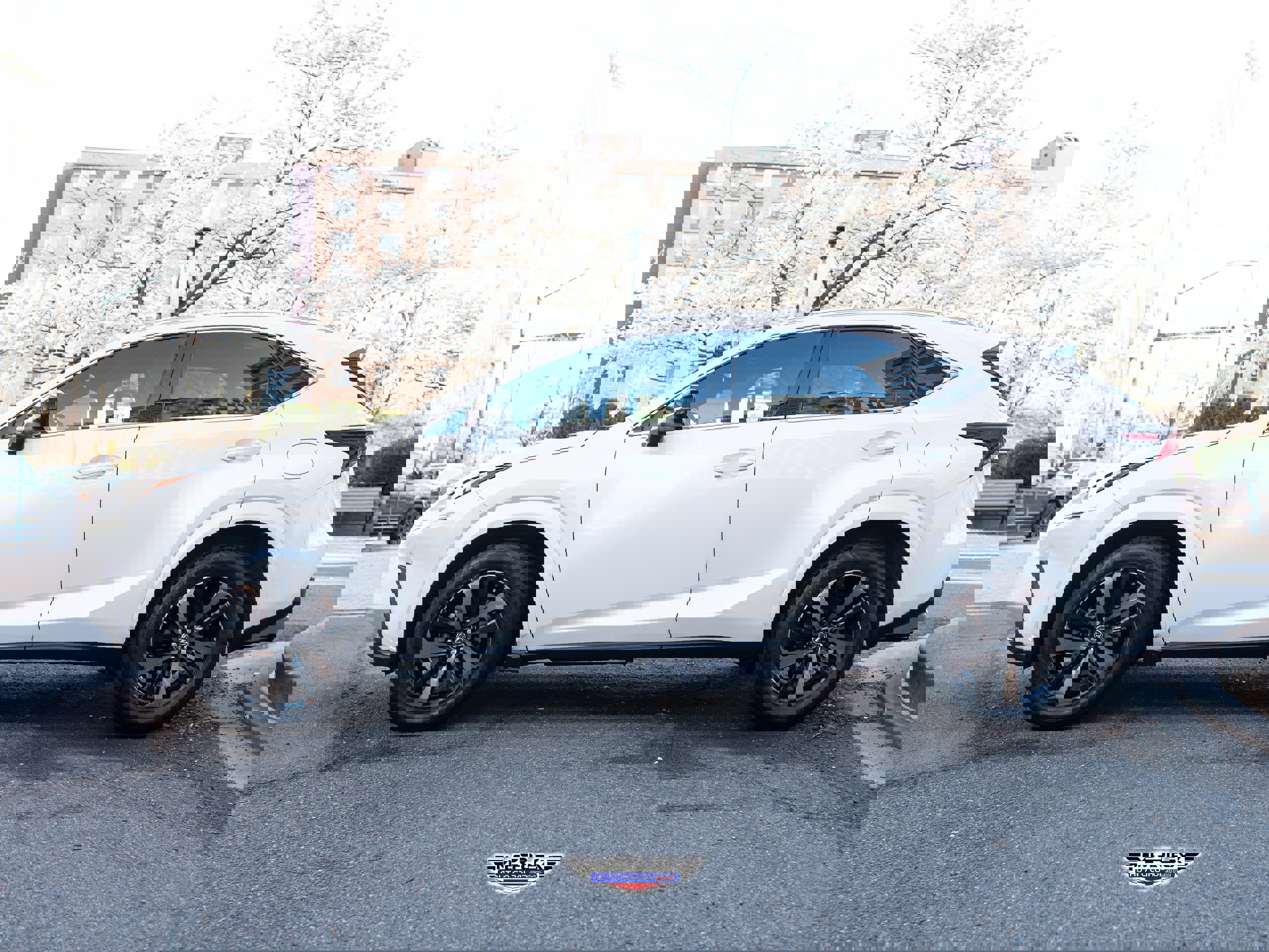 Used 2020 Lexus NX 300 FWD w/ Black Line Edition image 4