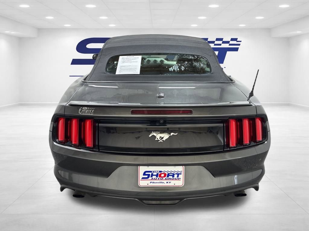 Used 2017 Ford Mustang Premium image 7