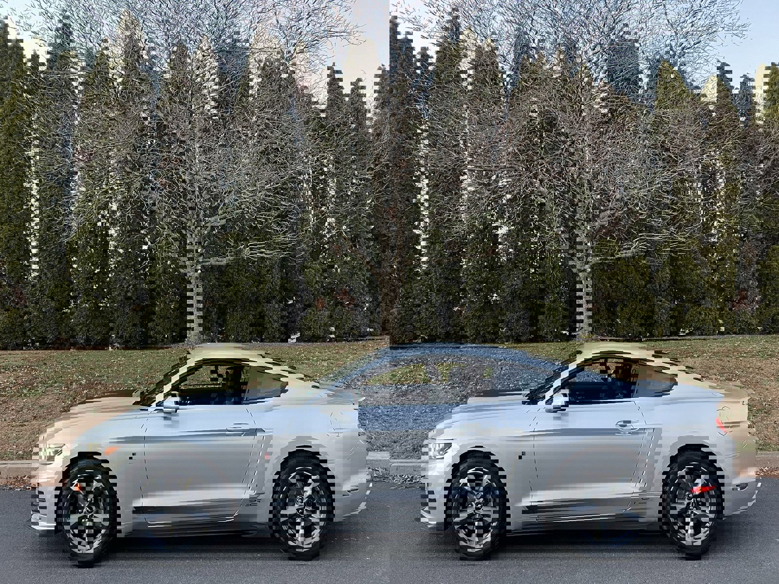 Used 2015 Ford Mustang Coupe w/ Equipment Group 051A image 38