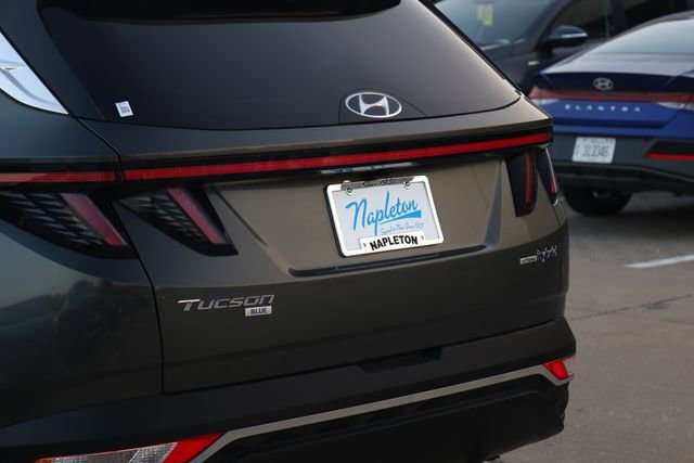 Used 2023 Hyundai Tucson Blue image 7
