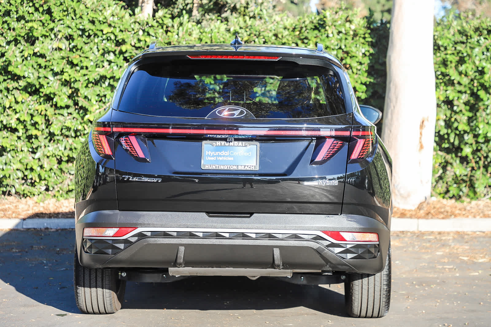 Certified 2024 Hyundai Tucson SEL AWD/4WD image 7
