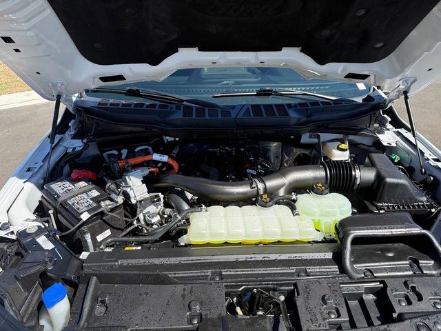 Used 2025 Ford F150 XLT w/ Equipment Group 302A MID image 14