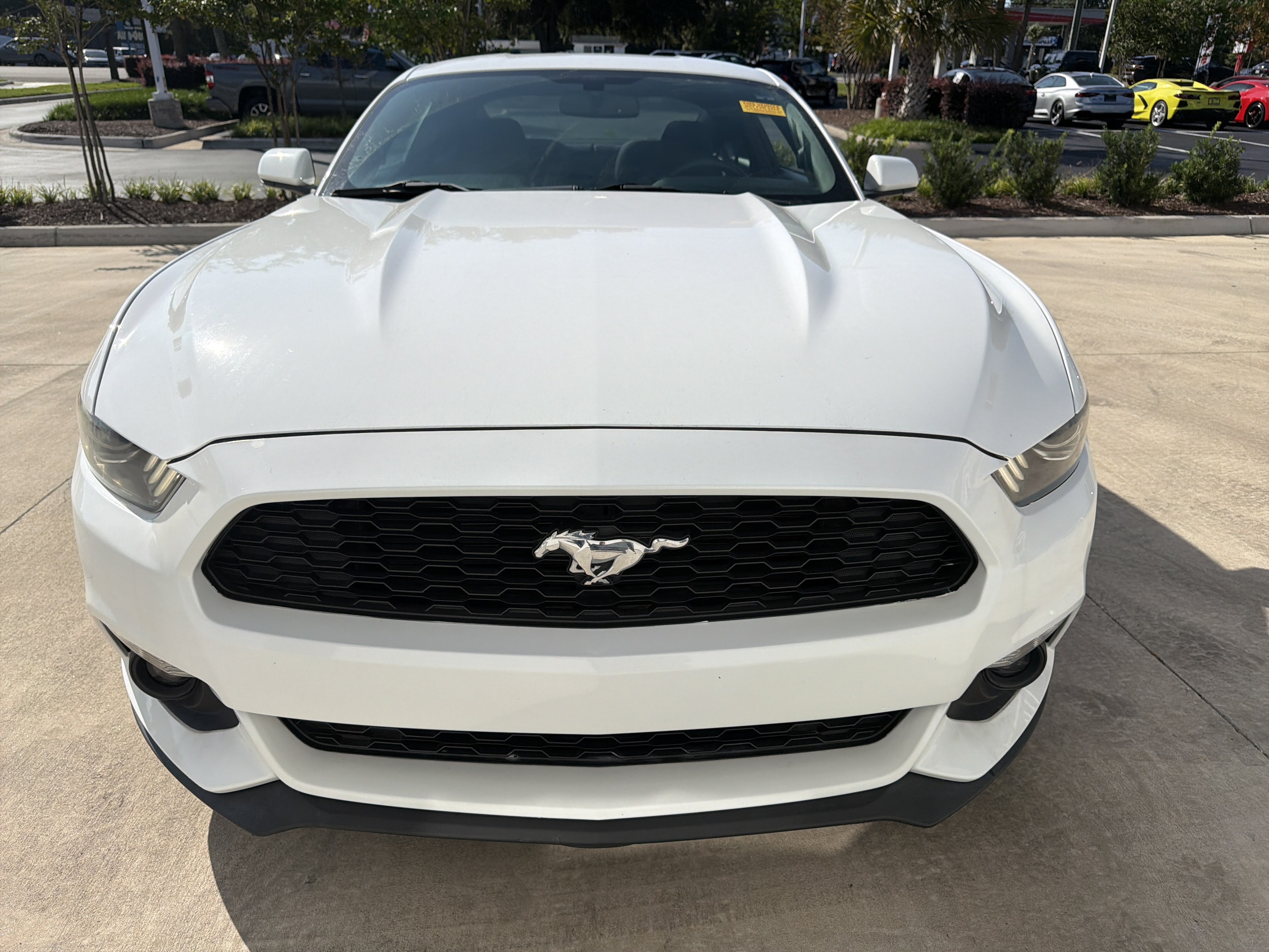 Used 2015 Ford Mustang Coupe w/ Wheel & Stripe Package RWD image 3
