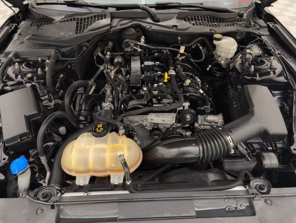 Used 2022 Ford Mustang Coupe w/ Equipment Group 101A RWD image 37