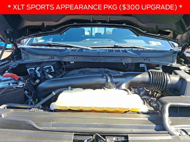 Certified 2022 Ford F150 XLT w/ Equipment Group 302A High image 13