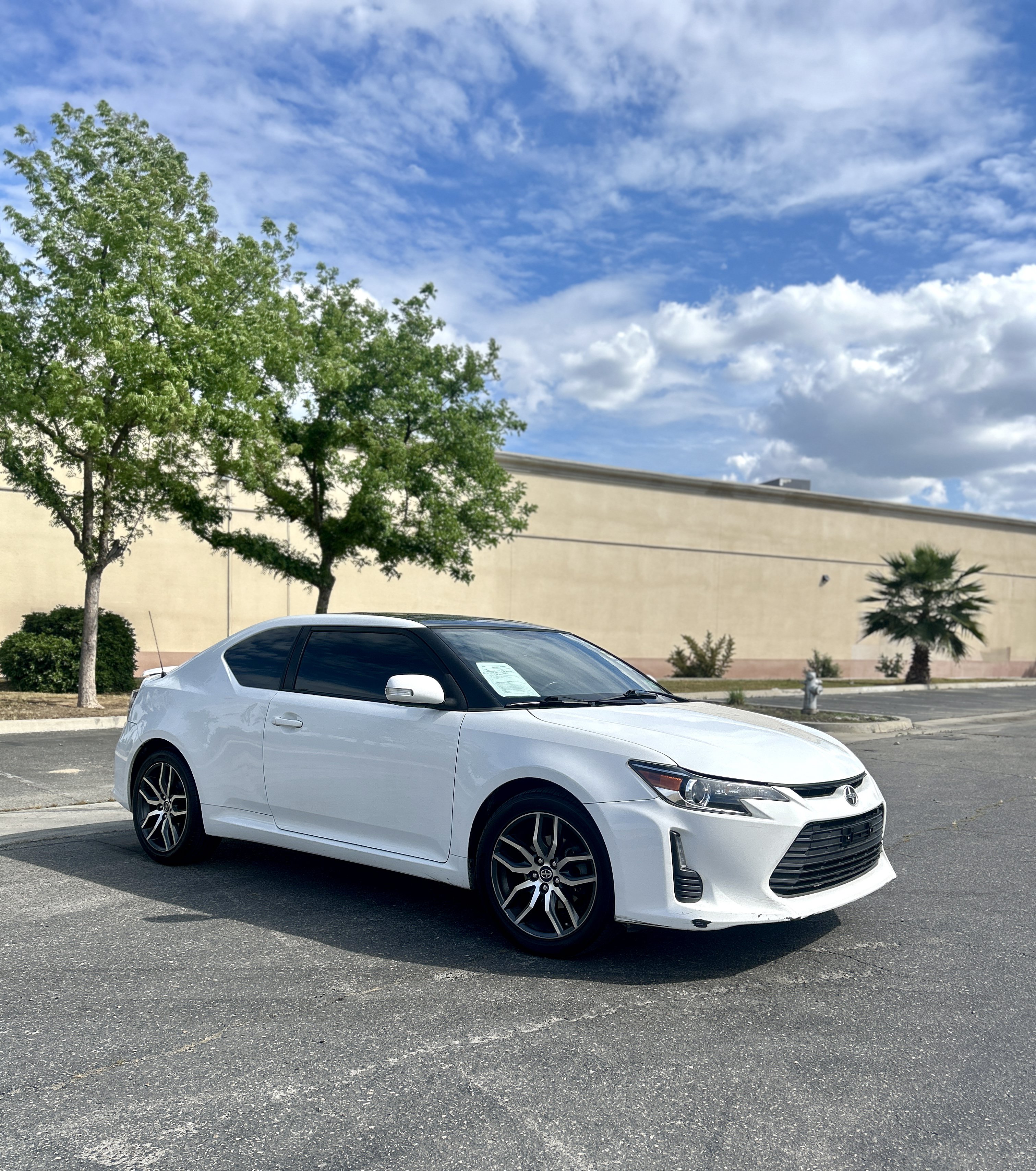 Used 2014 Scion tC Monogram Series FWD image 5