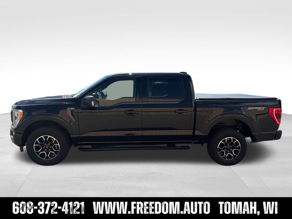 Used 2023 Ford F150 XLT w/ Equipment Group 302A High AWD/4WD image 3