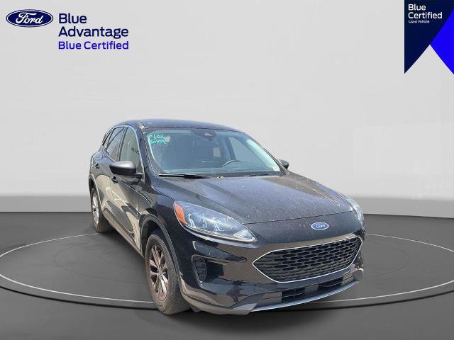 Certified 2022 Ford Escape SE w/ Convenience Package AWD/4WD image 6