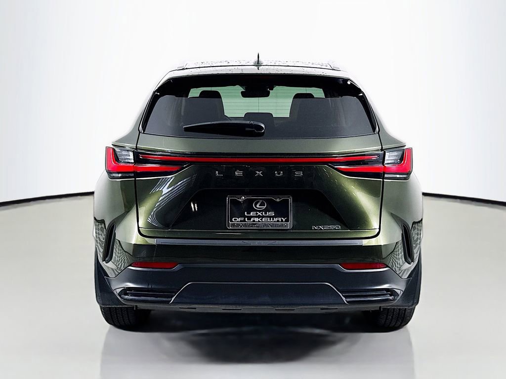 Certified 2024 Lexus NX 250 FWD w/ Cold Area Package image 6