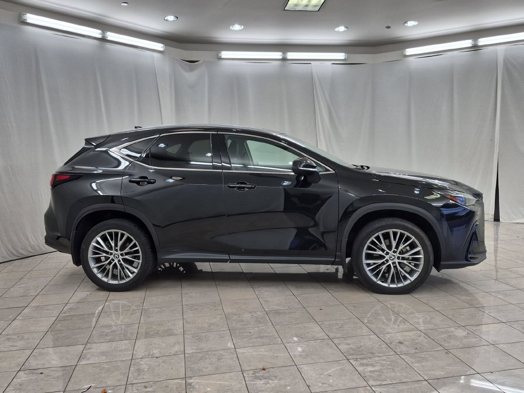 Used 2024 Lexus NX 350 AWD image 11