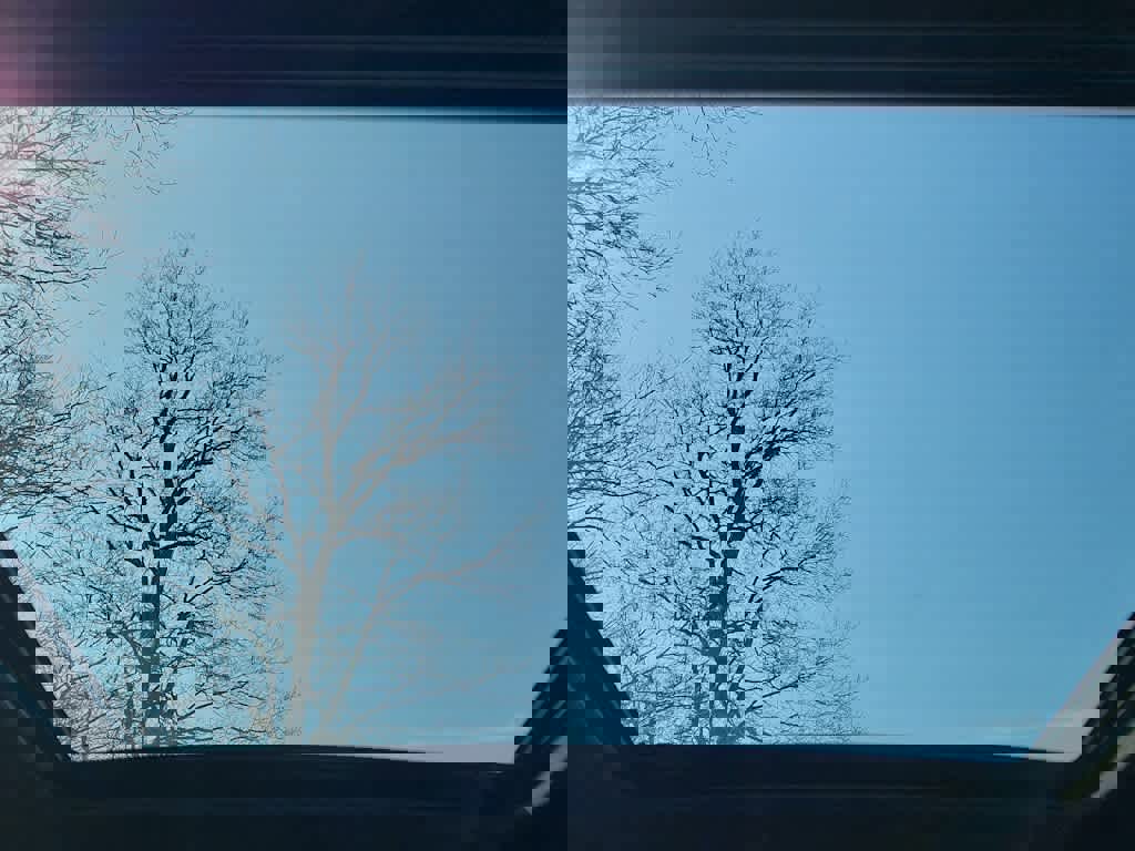 New 2026 Subaru Forester Premium image 23