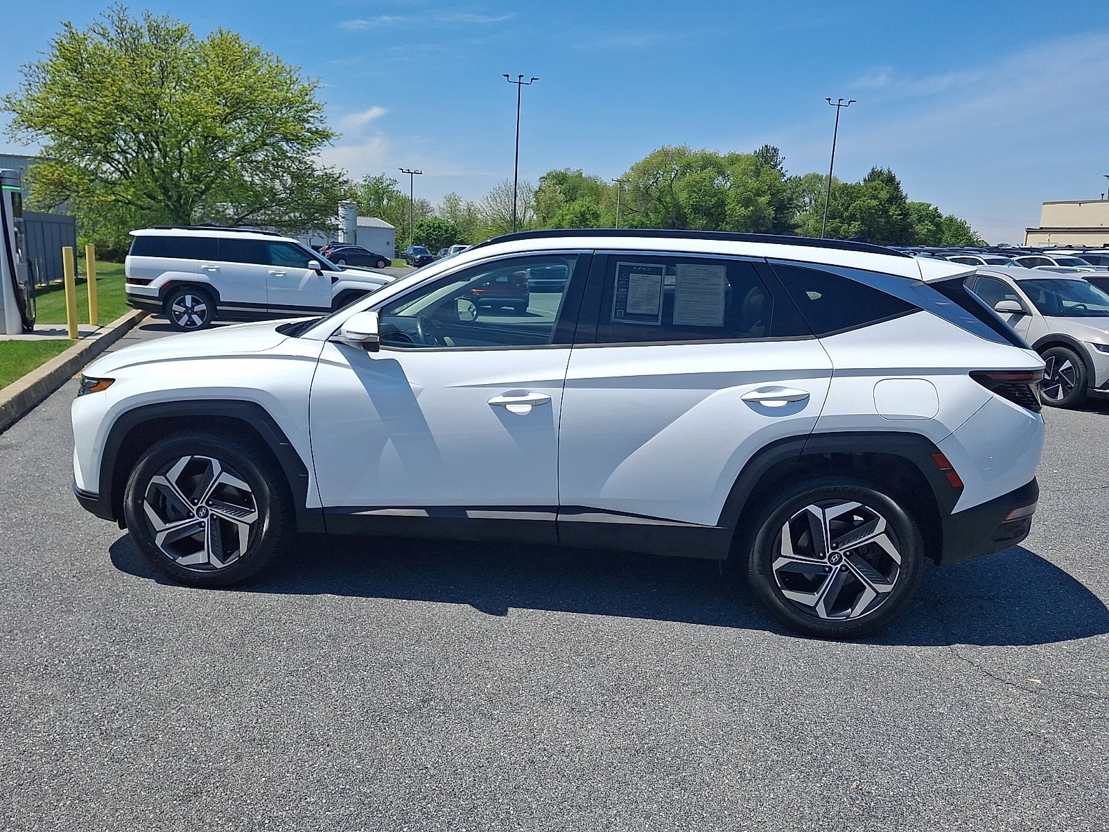 Used 2022 Hyundai Tucson Limited AWD/4WD image 8