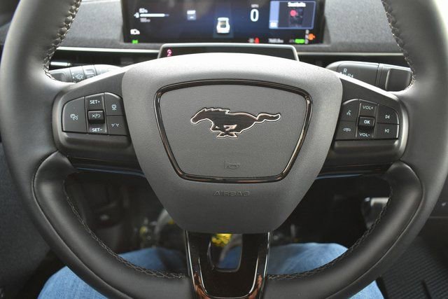 Used 2025 Ford Mustang Mach-E Premium image 19