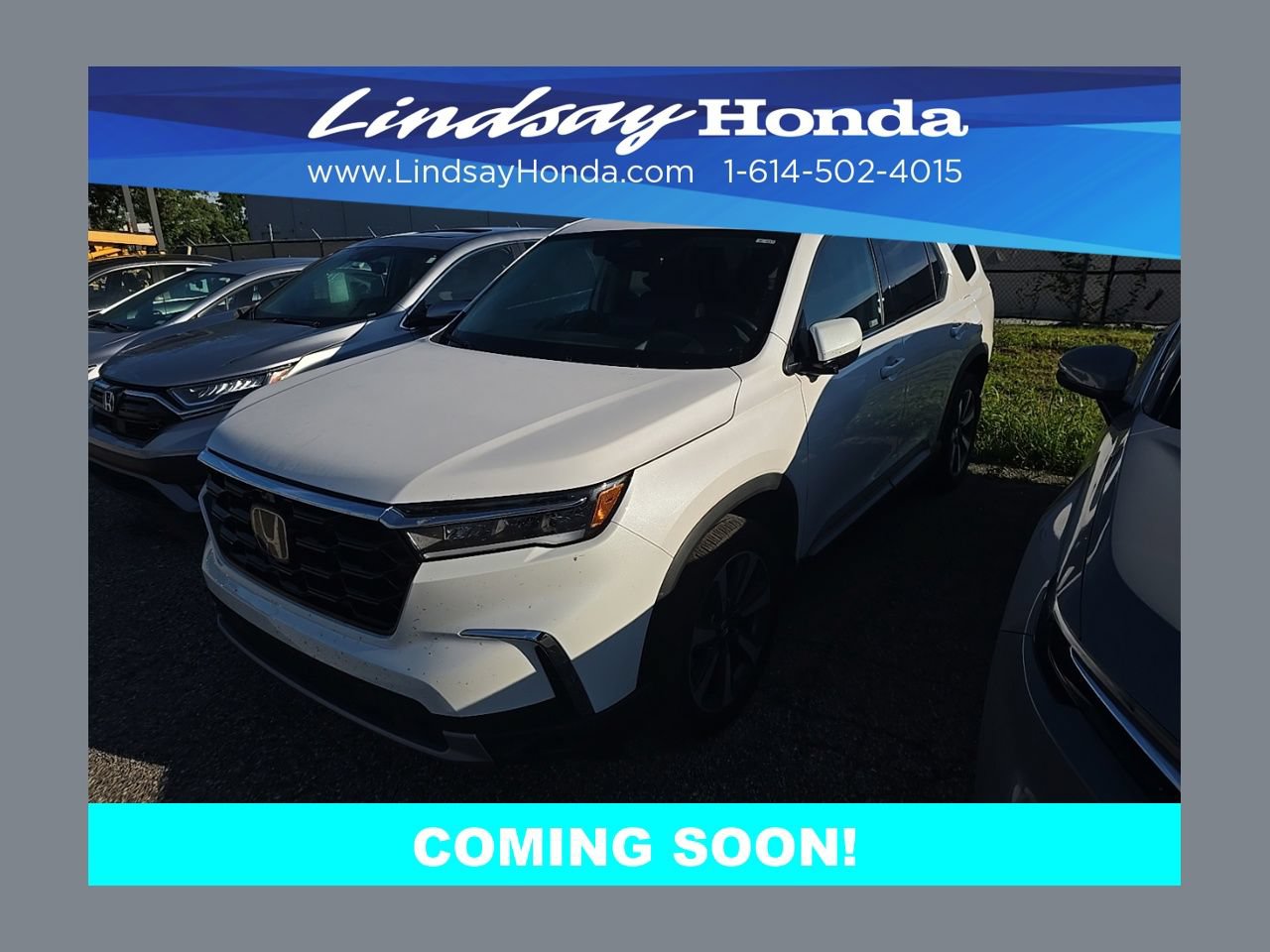 Used 2023 Honda Pilot Elite
