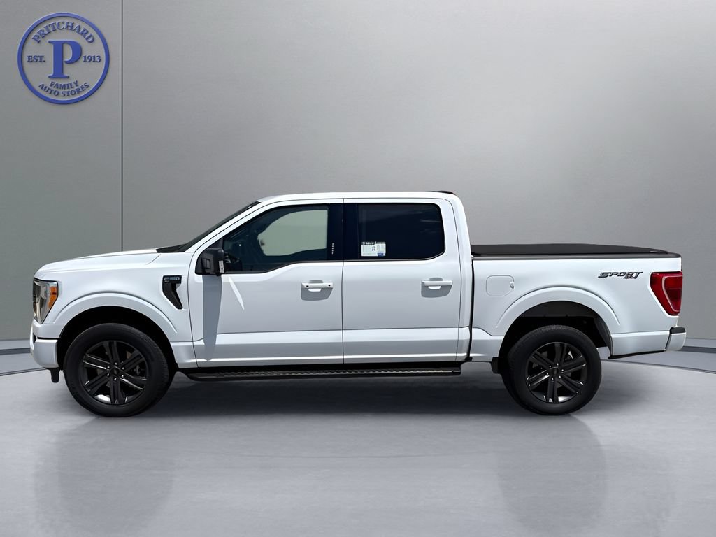Used 2023 Ford F150 XLT w/ Equipment Group 302A High AWD/4WD image 4