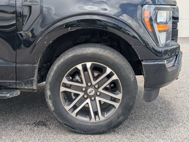 Used 2023 Ford F150 XL w/ STX Appearance Package AWD/4WD image 11