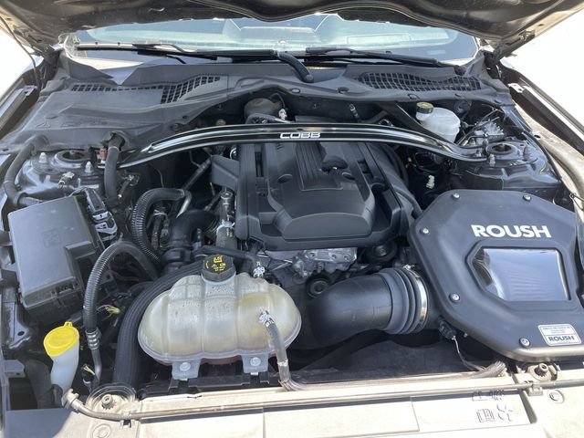 Used 2019 Ford Mustang Premium w/ Ecoboost Performance Package RWD image 29