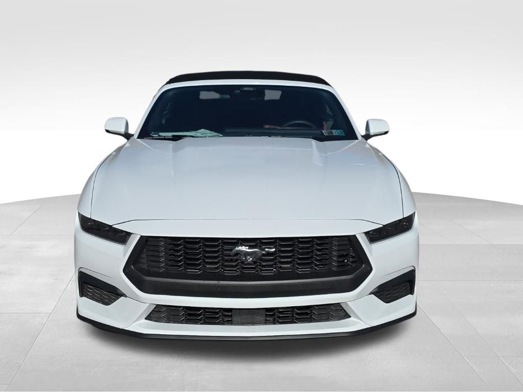 Used 2025 Ford Mustang Premium image 2