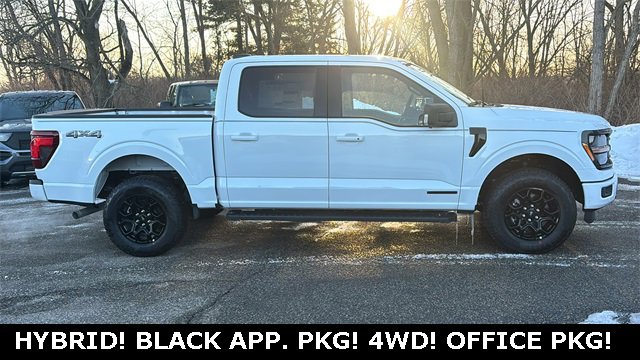 New 2025 Ford F150 XLT w/ Equipment Group 302A MID image 24