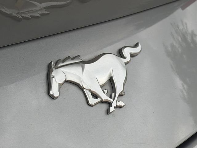 Used 2024 Ford Mustang Premium image 12