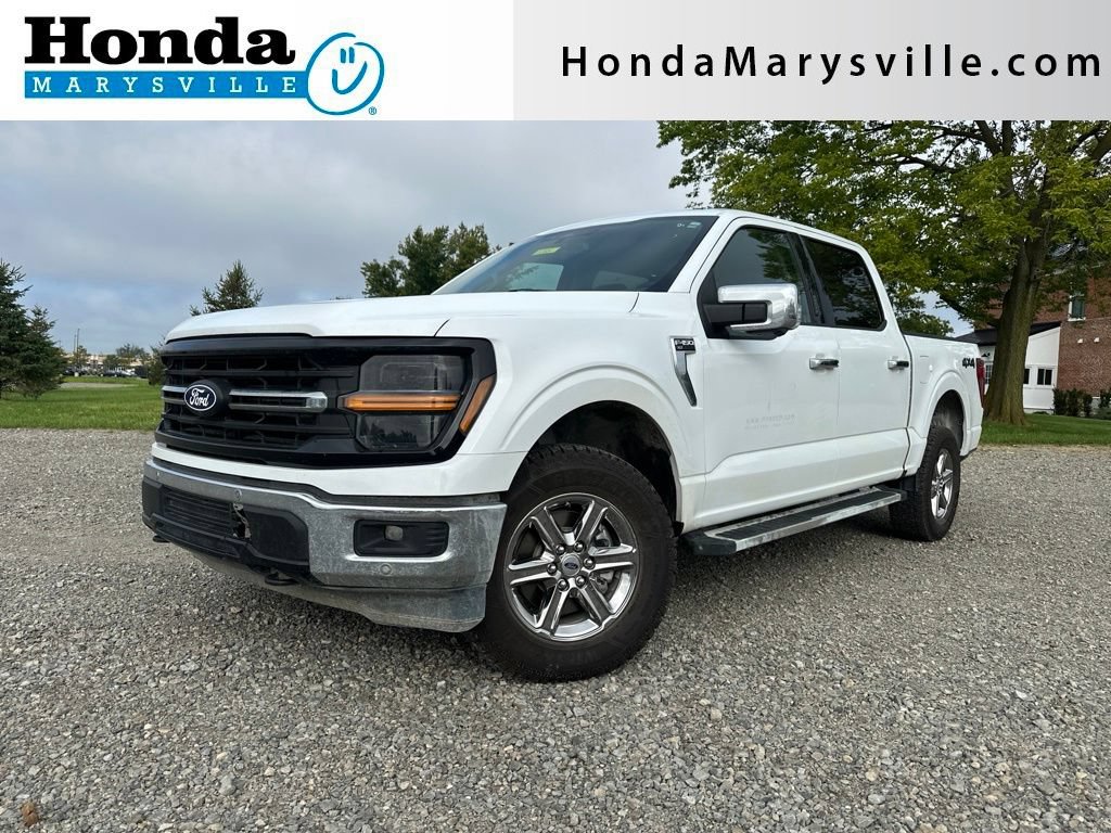 Used 2024 Ford F150 XLT w/ Equipment Group 302A MID AWD/4WD image 1