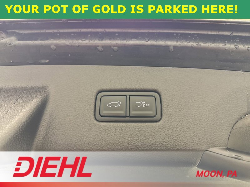 Used 2024 Kia Carnival SX Prestige image 13