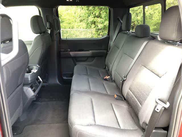 Used 2026 Ford F150 XLT w/ Equipment Group 302A MID AWD/4WD image 16