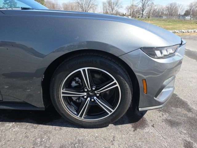 Used 2025 Ford Mustang Premium image 4