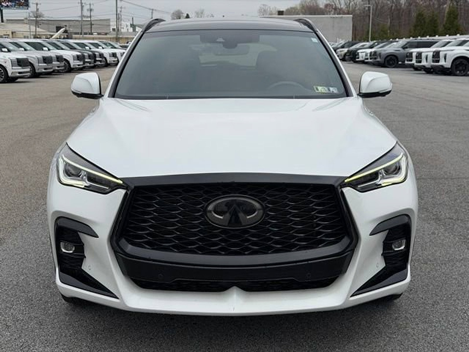 Certified 2023 INFINITI QX50 Sport image 2
