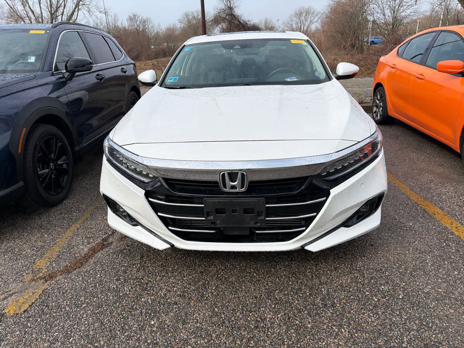 Used 2021 Honda Accord EX-L image 5
