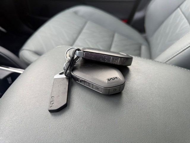 Used 2023 Kia Telluride SX Prestige X-Pro image 36