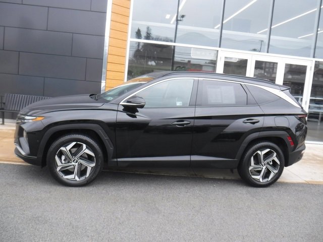 Used 2024 Hyundai Tucson Limited image 2