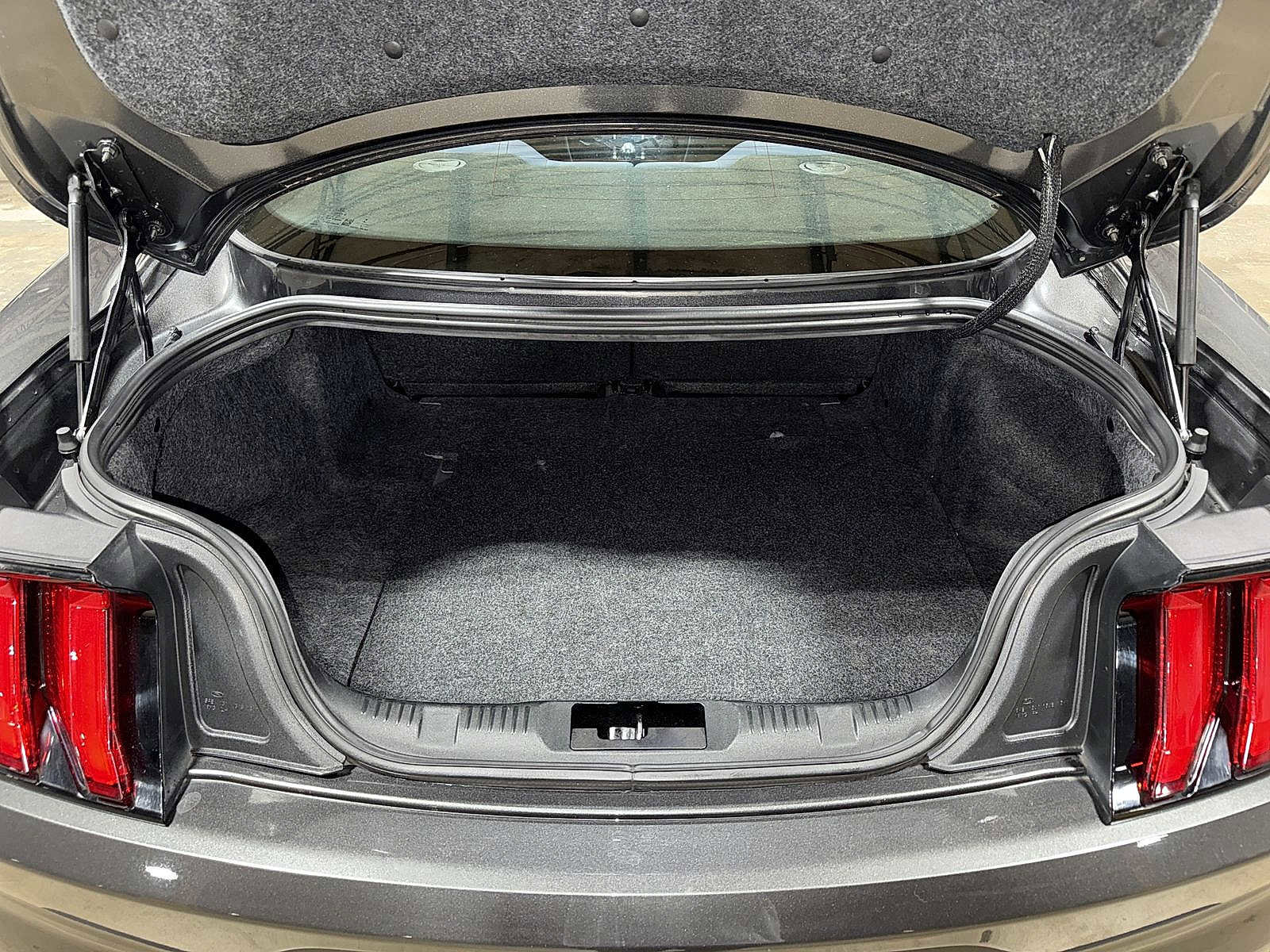 Used 2019 Ford Mustang EcoBoost w/ Equipment Group 101A image 11